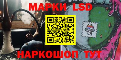 Альфа ПВП Обь