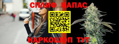 Альфа ПВП Обь