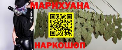 Альфа ПВП Обь