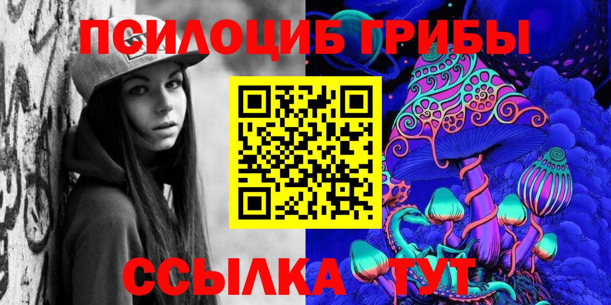 Галлюциногенные грибы Psilocybe Рыбинск
