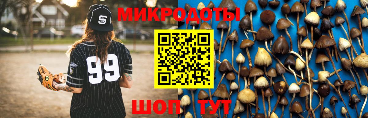 Рыбинск  Псилоцибиновые грибы Psilocybine cubensis  Псилоцибиновые грибы GOLDEN TEACHER  Вход с VPN 